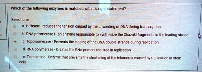 Which of the following enzymes is matched with it's right statement?

Select one:
a. Helicase - reduces the tension caused by the unwinding of DNA during transcription
b. DNA polymerase I - an enzyme responsible to synthesize the Okazaki fragments in the leading strand
c. Topoisomerase - Prevents the closing of the DNA double strands during replication
d. RNA polymerase - Creates the RNA primers required in replication
e. Telomerase - Enzyme that prevents the shortening of the telomeres caused by replication in stem cells