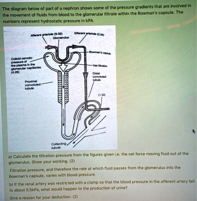 Are the effects of quotPressure Capsulequot permanent  rdndnext