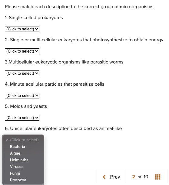 SOLVED Please match each description to the correct group of