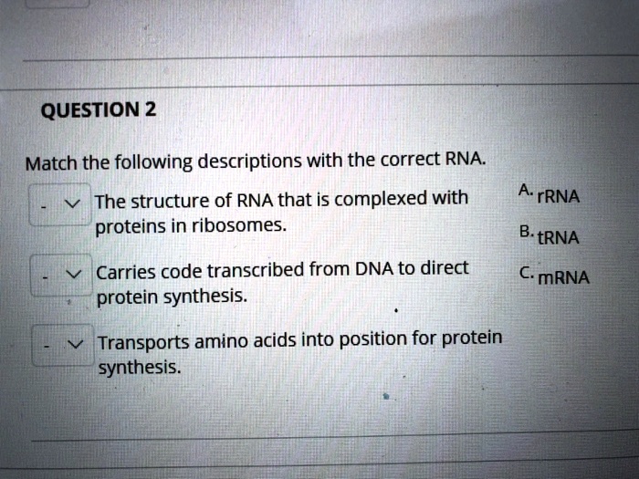 SOLVED QUESTION 2 Match the following descriptions with the correct