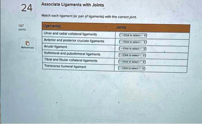 Associate Ligaments with Joints
Match each ligament (or pair of ligaments) with the correct joint.

Ligament(s)
Joints
Ulnar and radial collateral ligaments
Anterior and posterior cruciate ligaments
Anular ligament
Iliofemoral and pubofemoral ligaments
Tibial and fibular collateral ligaments
Transverse humeral ligament