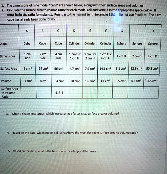 SOLVED The dimensions of nlne model "cells" are shown bebw; along
