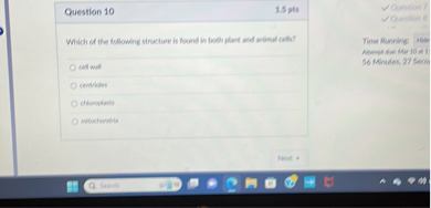 Which of the following structure is found in both plant and animal cells?

cell wall
centrioles
chloroplasts
mitochondria