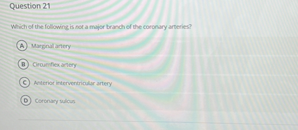Question 21

Which of the following is not a major branch of the coronary arteries?
(A) Marginal artery
(B) Circumflex artery
(C) Anterior interventricular artery
(D) Coronary sulcus