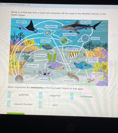 SOLVED: Below is a food web from a coral reef ecosyitem off the ceast ...