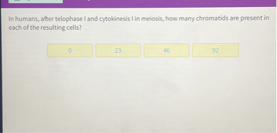 In humans, after telophase I and cytokinesis I in meiosis, how many chromatids are present in each of the resulting cells?
0
23
46
92