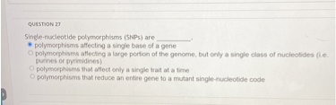 QUESTION 27
Single-nucleotide polymorphisms (SNPs) are .
polymorphisms affecting a single base of a gene
polymorphisms affecting a large portion of the genome, but only a single class of nucleotides (i.e. purines or pyrimidines)
polymorphisms that affect only a single trait at a time
polymorphisms that reduce an entire gene to a mutant single-nucleotide code