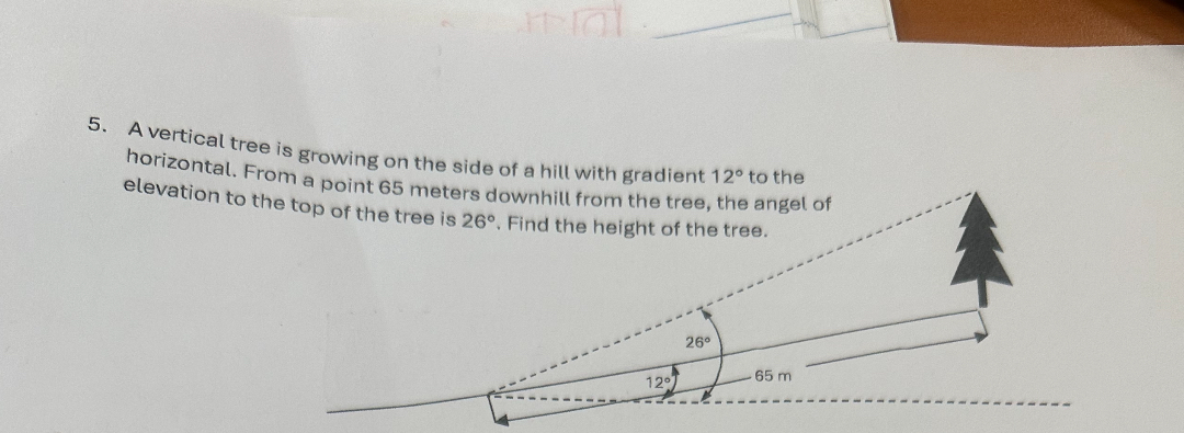SOLVED: 5. A vertical tree is growing on the side of a hill with ...