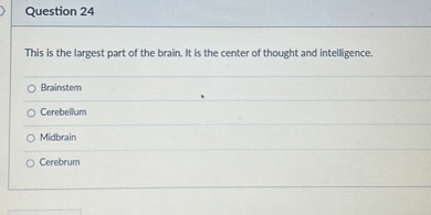 Question 24

This is the largest part of the brain. It is the center of thought and intelligence.
Brainstem
Cerebellum
Midbrain
Cerebrum