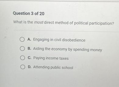 what is the most direct method of political participation