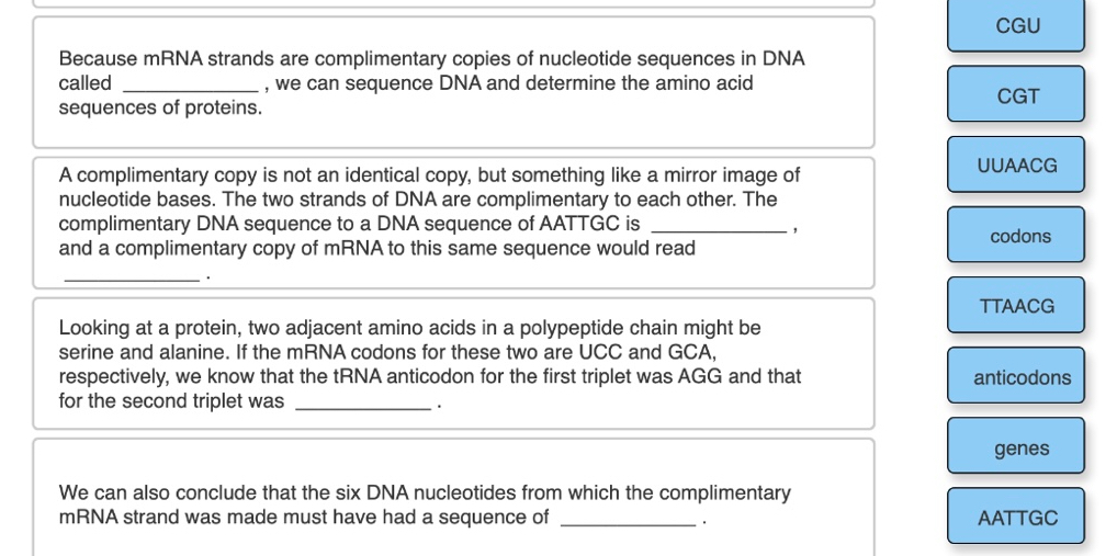 SOLVED: Because mRNA strands are complimentary copies of nucleotide ...