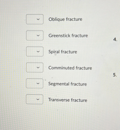 Oblique fracture
Greenstick fracture
Spiral fracture
Comminuted fracture
Segmental fracture
Transverse fracture
