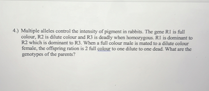 4.) Multiple alleles control the intensity of pigment in rabbits. The gene R1 is full colour, R2 is dilute colour and R3 is deadly when homozygous. R1 is dominant to R2 which is dominant to R3. When a full colour male is mated to a dilute colour female, the offspring ration is 2 full colour to one dilute to one dead. What are the genotypes of the parents?