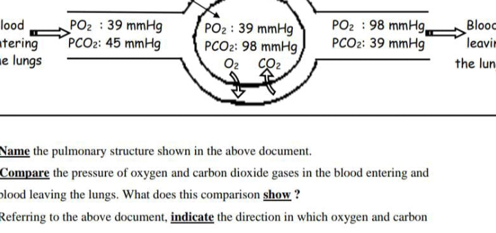 Name the pulmonary structure shown in the above document. Compare the ...