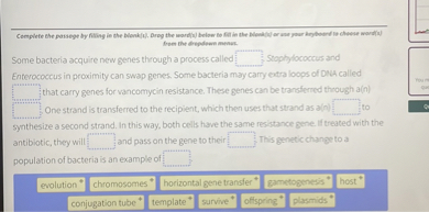 Complete the passage by filling in the blank(s). Drag the word(s) below to fill in the blank(s) or use your keyboard to choose word(s) from the dropdown menus.

Some bacteria acquire new genes through a process called [ ] Staphylococcus and Enterococcus in proximity can swap genes. Some bacteria may carry extra loops of DNA called [ ] that carry genes for vancomycin resistance. These genes can be transferred through a(n) [ ] One strand is transferred to the recipient, which then uses that strand as a(n) [ ] to synthesize a second strand. In this way, both cells have the same resistance gene. If treated with the antibiotic, they will [ ] and pass on the gene to their [ ] This genetic change to a population of bacteria is an example of [ ]

evolution
chromosomes
horizontal gene transfer
gametogenesis
host
conjugation tube
template
survive
offspring
plasmids