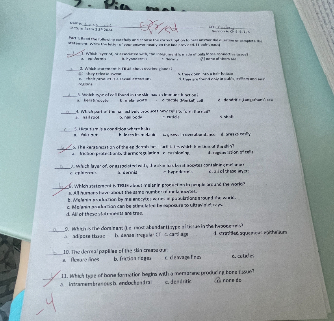 Name:
Lab:
Lecture Exam 2 SP 2024
Version A: Ch 5, 6, 7, 8

Part I: Read the following carefully and choose the correct option to best answer the question or complete the statement. Write the letter of your answer neatly on the line provided. (1 point each)

1. Which layer of, or associated with, the integument is made of only loose connective tissue?
a. epidermis
b. hypodermis
c. dermis
d. none of them are

2. Which statement is TRUE about eccrine glands?
a. they release sweat
b. they open into a hair follicle
c. their product is a sexual attractant
d. they are found only in pubic, axillary and anal regions

3. Which type of cell found in the skin has an immune function?
a. keratinocyte
b. melanocyte
c. tactile (Merkel) cell
d. dendritic (Langerhans) cell

4. Which part of the nail actively produces new cells to form the nail?
a. nail root
b. nail body
c. cuticle
d. shaft

5. Hirsutism is a condition where hair:
a. falls out
b. loses its melanin
c. grows in overabundance
d. breaks easily

6. The keratinization of the epidermis best facilitates which function of the skin?
a. friction protection
b. thermoregulation
c. cushioning
d. regeneration of cells

7. Which layer of, or associated with, the skin has keratinocytes containing melanin?
a. epidermis
b. dermis
c. hypodermis
d. all of these layers

8. Which statement is TRUE about melanin production in people around the world?
a. All humans have about the same number of melanocytes.
b. Melanin production by melanocytes varies in populations around the world.
c. Melanin production can be stimulated by exposure to ultraviolet rays.
d. All of these statements are true.

9. Which is the dominant (i.e. most abundant) type of tissue in the hypodermis?
a. adipose tissue
b. dense irregular CT
c. cartilage
d. stratified squamous epithelium

10. The dermal papillae of the skin create our:
a. flexure lines
b. friction ridges
c. cleavage lines
d. cuticles

11. Which type of bone formation begins with a membrane producing bone tissue?
a. intramembranous
b. endochondral
c. dendritic
d. none do