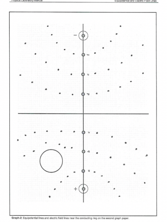 SOLVED Graph2 Equipetential lines and olectric field lines near the