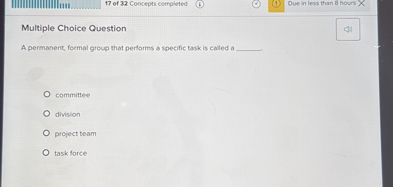 Multiple Choice Question

A permanent, formal group that performs a specific task is called a 

committee
division
project team
task force