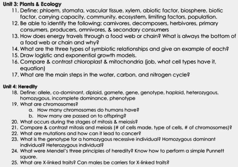 How Does Energy Travel Through A Food Web