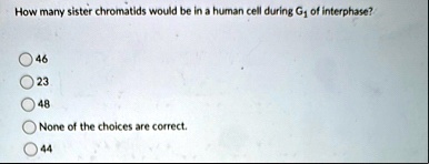 how many sister chromatids would be in a human cell during g1 of interphase 46 23 48 none of the choices are correct 44 71303