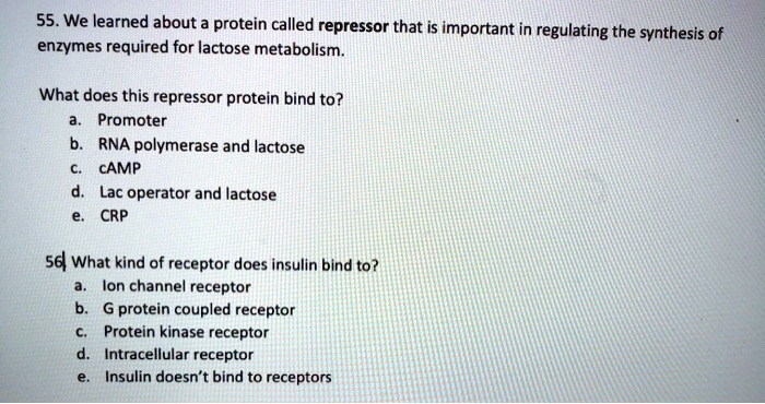 SOLVED: 55. We learned about protein called repressor that is important ...