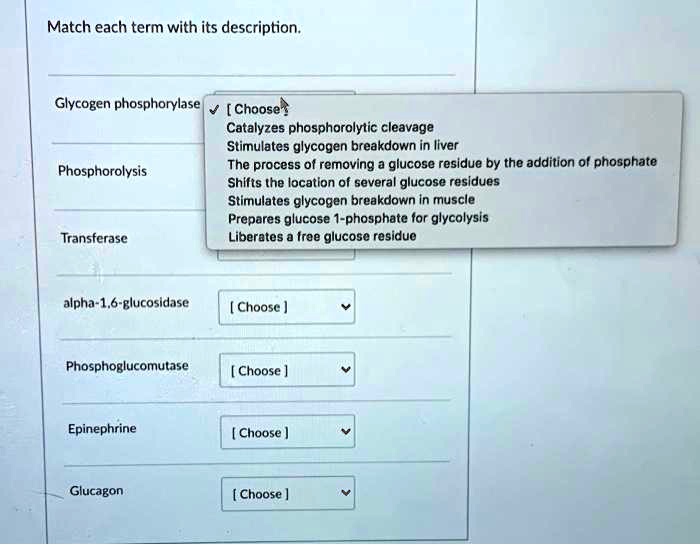 SOLVED: Match each term with its description; Glycogen phosphorylase