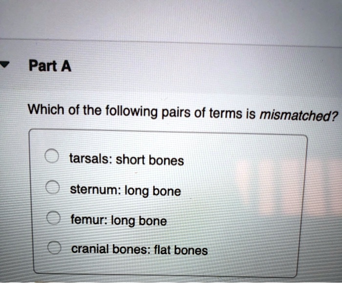 Which Of The Following Pairs Of Terms Is Mismatched SOLVED: PartA Which of the following pairs of terms is mismatched