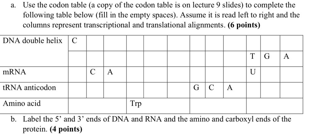 SOLVED: Use the codon table a copy of the codon table is on lecture 9 ...