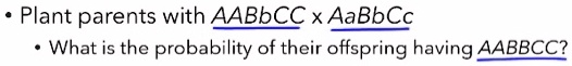 • Plant parents with AABBCC x AaBbCc
• What is the probability of their offspring having AABBCC?