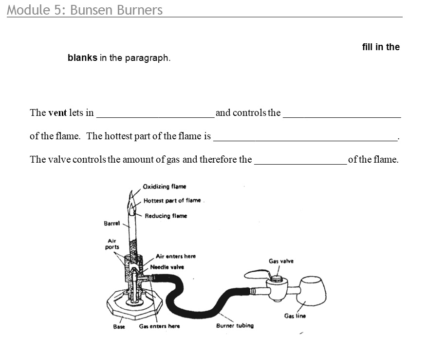 Module 5: Bunsen Burners

fill in the blanks in the paragraph.

The vent lets in  and controls the 
of the flame. The hottest part of the flame is .
The valve controls the amount of gas and therefore the  of the flame.

Oxidizing flame
Hottest part of flame
Reducing flame
Barrel
Air ports
Air enters here
Needle valve
Gas valve
Gas line
Base
Gas enters here
Burner tubing