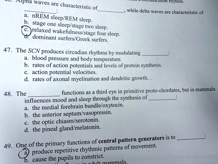 46. Alpha waves are characteristic of , while delta waves are characteristic of :
a. nREM sleep/REM sleep.
b. stage one sleep/stage two sleep.
c. relaxed wakefulness/stage four sleep.
d. dominant surfers/Greek surfers.
47. The SCN produces circadian rhythms by modulating :
a. blood pressure and body temperature.
b. rates of action potentials and levels of protein synthesis.
c. action potential velocities.
d. rates of axonal myelination and dendritic growth. .
48. The  functions as a third eye in primitive proto-chordates, but in mammals influences mood and sleep through the synthesis of :
a. the medial forebrain bundle/oxytocin.
b. the anterior septum/vasopressin.
c. the optic chiasm/serotonin.
d. the pineal gland/melatonin.
49. One of the primary functions of central pattern generators is to :
a) produce repetitive rhythmic patterns of movement.
b. cause the pupils to constrict.