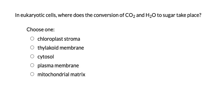 In eukaryotic cells, where does the conversion of CO2 and H2O to sugar take place?

Choose one:
chloroplast stroma
thylakoid membrane
cytosol
plasma membrane
mitochondrial matrix