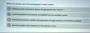what is the primary role of the basal ganglia in motor control a initiating muscle contractions directly through spinal motor neurons b coordinating balance and posture via feedback from the 13517