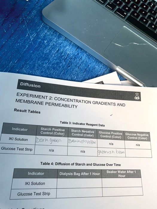 SOLVED Diffusion Experiment Membrane Concentration Permeability Gradients and Results Tables