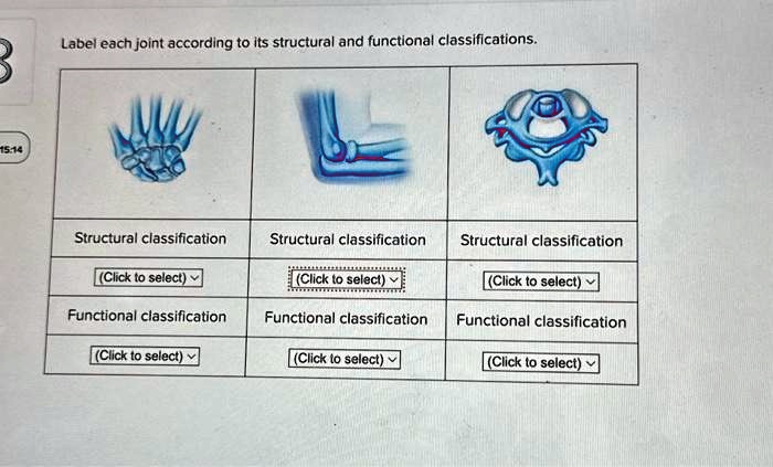 SOLVED: 15:14 Label each joint according to its structural and ...