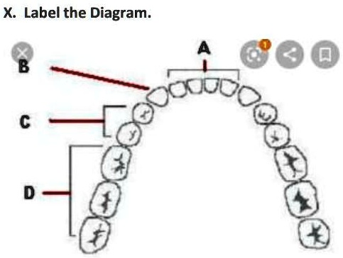 Labelling A Diagram Example X. Label the Diagram.