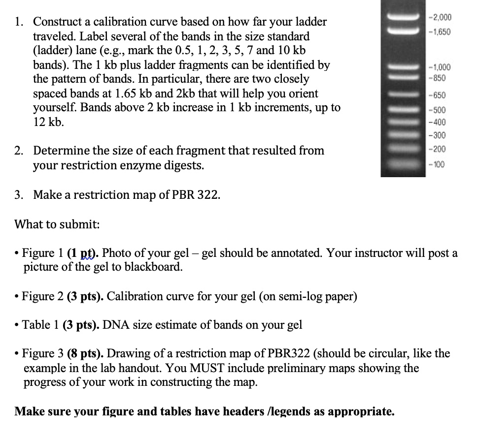 solved-construct-a-calibration-curve-based-on-how-far-your-ladder