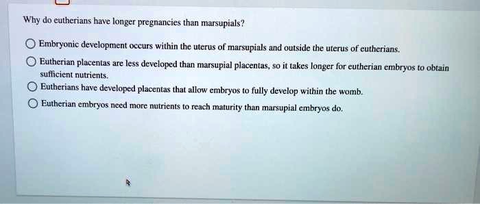 SOLVED: Why do eutherians have longer pregnancies than marsupials