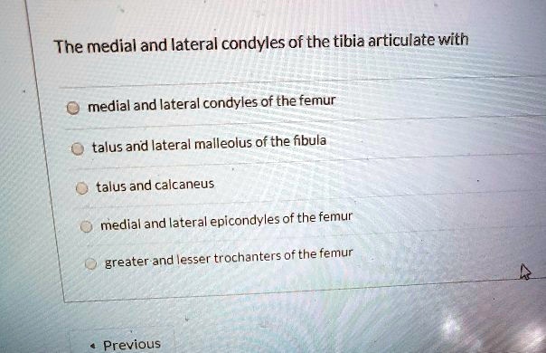 The medial and lateral condyles of the tibia articulate with medial and ...