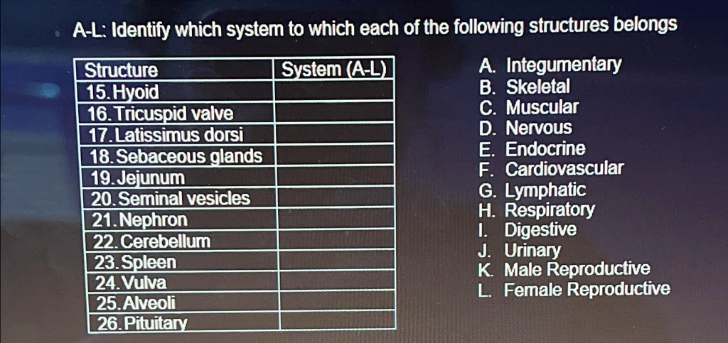 A-L: Identify which system to which each of the following structures ...