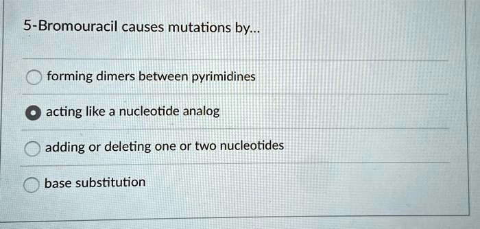 5 bromouracil causes mutations by forming dimers between...