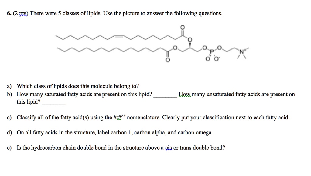 SOLVED 6. (2 pts) There were 5 classes of lipids. Use the picture to