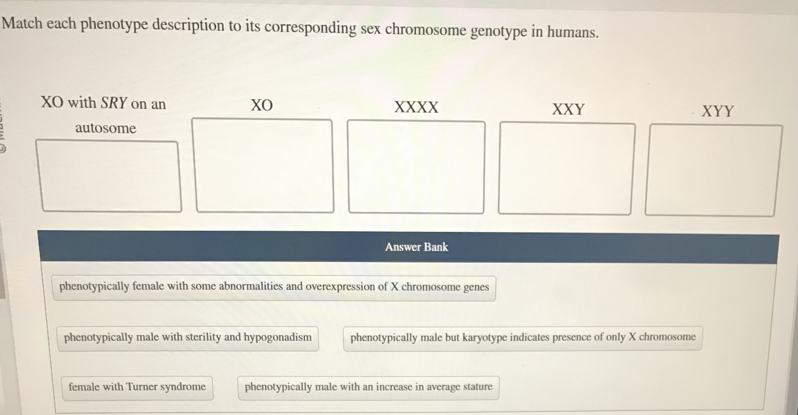 Match each phenotype description to its corresponding sex chromosome genotype in humans.
XO with SRY on an autosome
XO
XXXX
XXY
XYY
Answer Bank
phenotypically female with some abnormalities and overexpression of X chromosome genes
phenotypically male with sterility and hypogonadism
phenotypically male but karyotype indicates presence of only X chromosome
female with Turner syndrome
phenotypically male with an increase in average stature