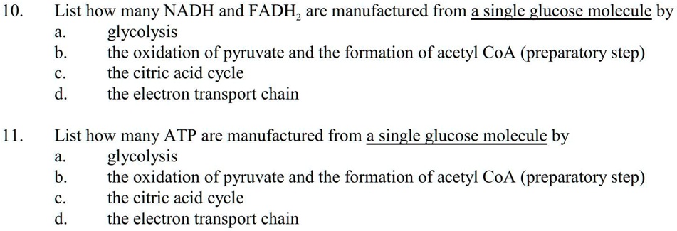 SOLVED: 10. List how many NADH and FADH, are manufactured from ...