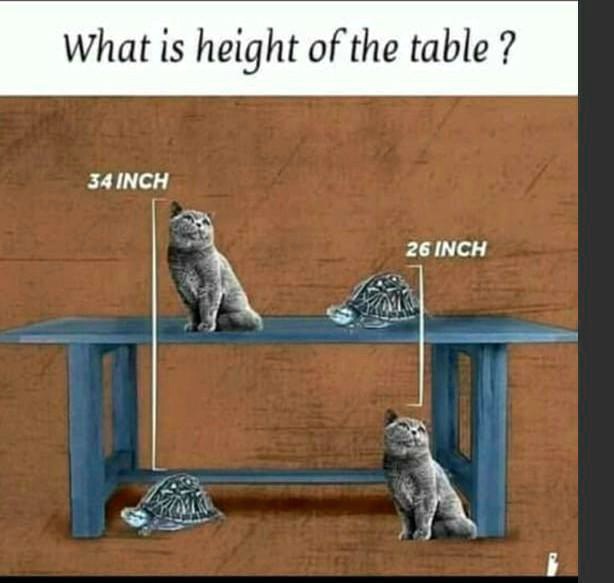 SOLVED 'what is the height of table?? What is height ofthe table ? S4INCH 26 INCH'