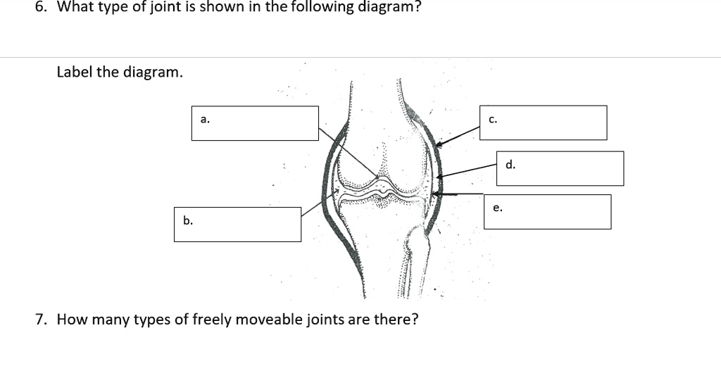 Solved: 6. What Type Of Joint Is Shown In The Following Diagram? Label 