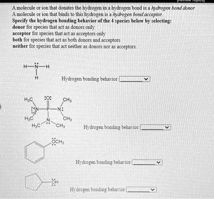 a molecule or ion that donates the hydrogen in hydrogen bond is a ...