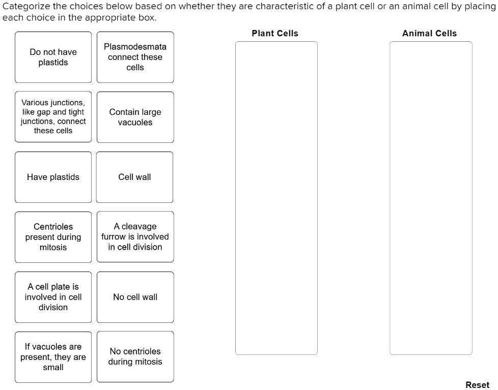 SOLVED: Categorize the choices below based on whether they are characteristic of a plant cell or an animal cell by placing each choice in the appropriate box. Plant Cells Animal Cells Plasmodesmata SOLVED: Categorize the choices below based on whether they are characteristic of a plant cell or an animal cell by placing each choice in the appropriate box. Plant Cells Animal Cells Plasmodesmata