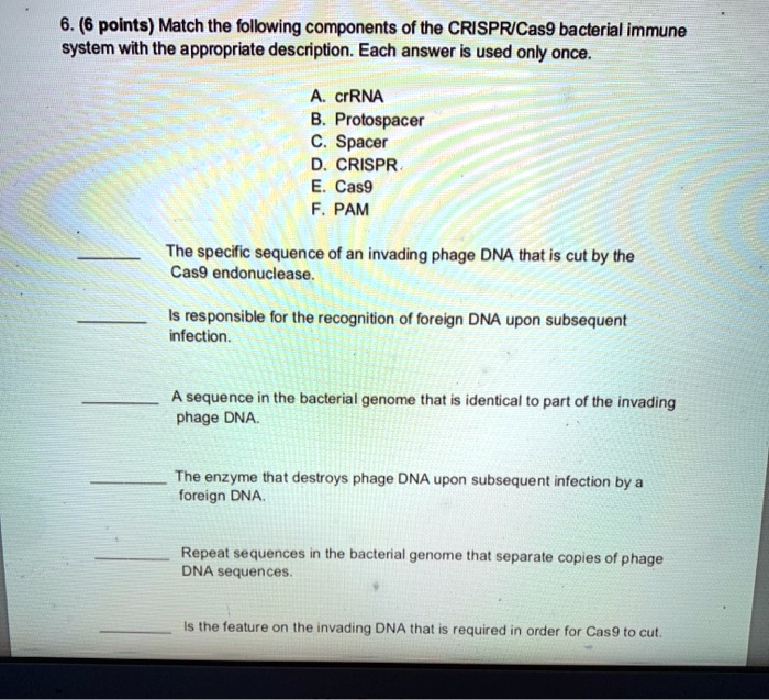 6. (6 points) Match the following components of the CRISPR/Cas9 bacterial immune system with the appropriate description. Each answer is used only once.

A. crRNA
B. Protospacer
C. Spacer
D. CRISPR
E. Cas9
F. PAM

 The specific sequence of an invading phage DNA that is cut by the Cas9 endonuclease.

 Is responsible for the recognition of foreign DNA upon subsequent infection.

 A sequence in the bacterial genome that is identical to part of the invading phage DNA.

 The enzyme that destroys phage DNA upon subsequent infection by a foreign DNA.

 Repeat sequences in the bacterial genome that separate copies of phage DNA sequences.

 Is the feature on the invading DNA that is required in order for Cas9 to cut.