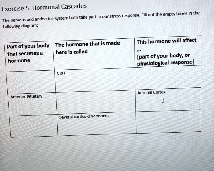 solved-exercise-5-hormonal-cascades-part-in-our-stress-response-fill